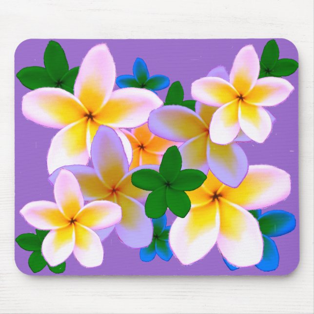 Plumeria Musmatta (Framsidan)