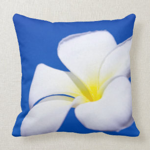 Plumeria och blå himmel för härlig vit tropisk kudde