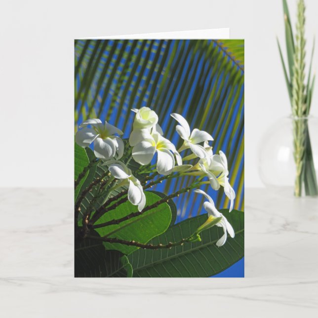 Plumeria och Handflatan Kort (Framsida)