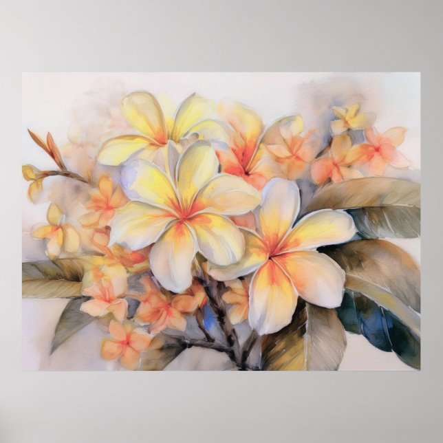 Plumeria och Snäcka Ginger Poster (Framsidan)