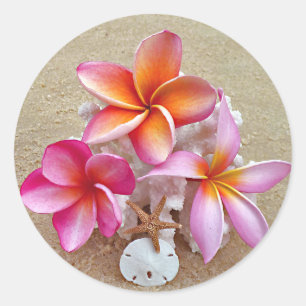 Plumeria och Snäckor på Sandy Beach Sticker Runt Klistermärke