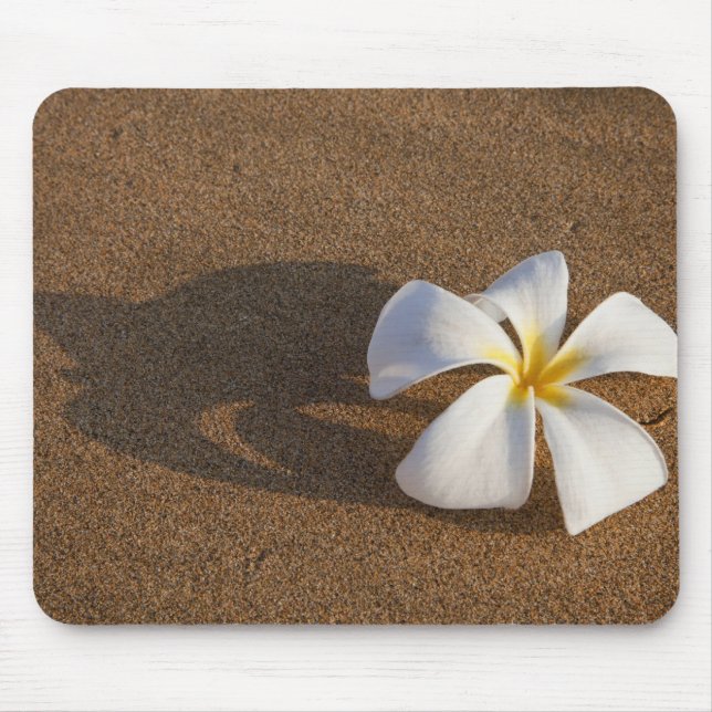 Plumeria på sandstrand, Maui, Hawaii, USA Musmatta (Framsidan)