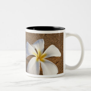 Plumeria på sandstrand, Maui, Hawaii, USA Två-Tonad Mugg