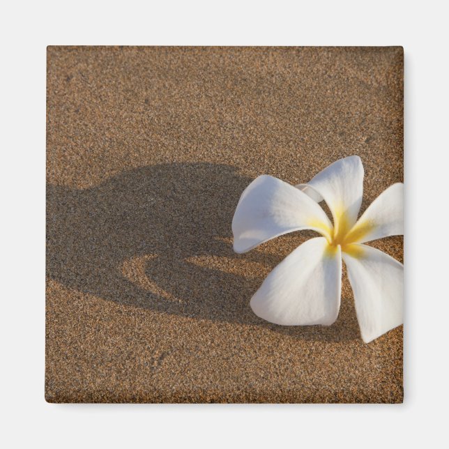 Plumeria på sandstranden, Maui, Hawaii, USA Magnet (Framsidan)