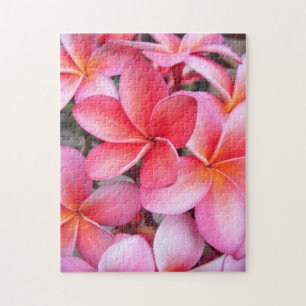 *Plumeria*pussel Pussel