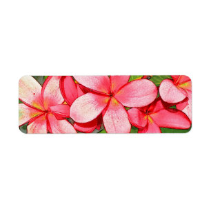 plumeria returadress etikett