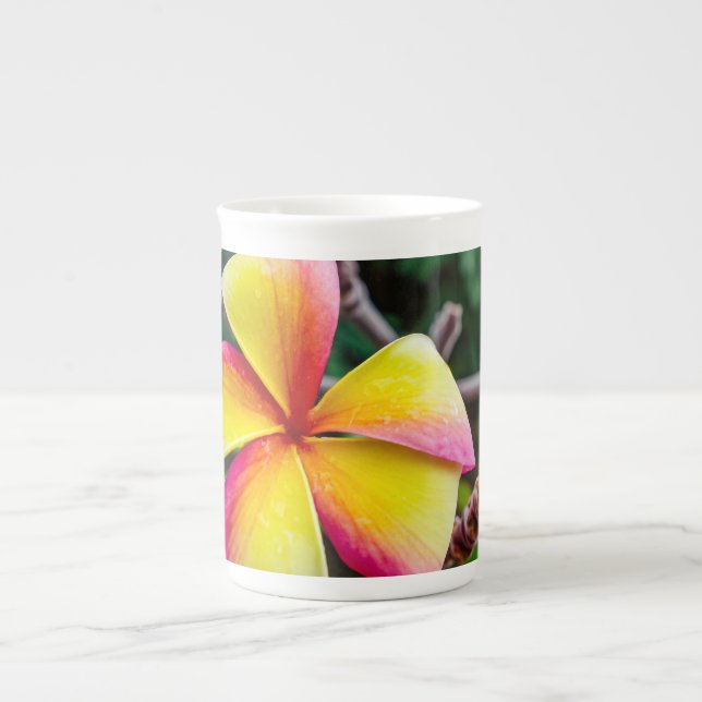 Plumeria rubra benporslin mugg (Framsidan)