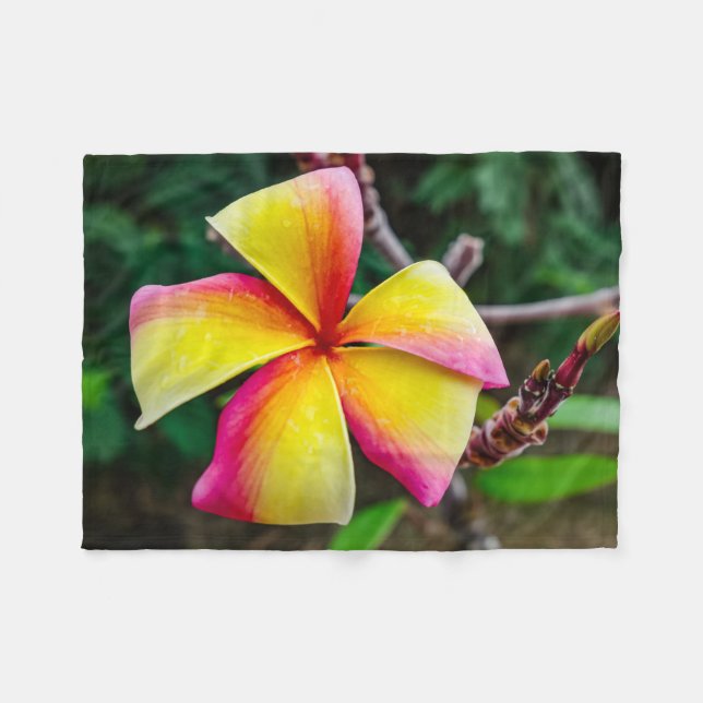 Plumeria rubra fleecefilt (Framsidan (Horisontell))