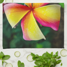 Plumeria rubra kökshandduk