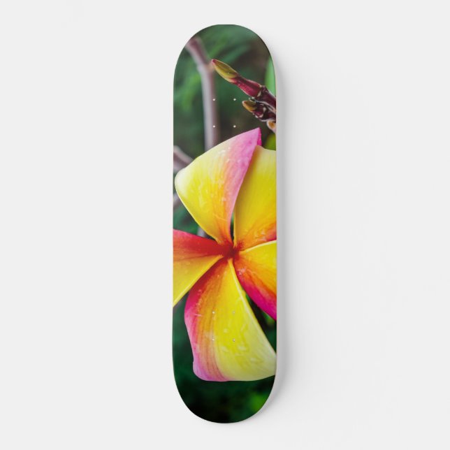 Plumeria rubra mini skateboard bräda 18,5 cm (Framsida)