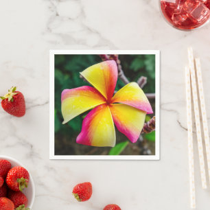 Plumeria rubra pappersservett