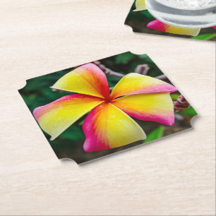 Plumeria rubra underlägg papper