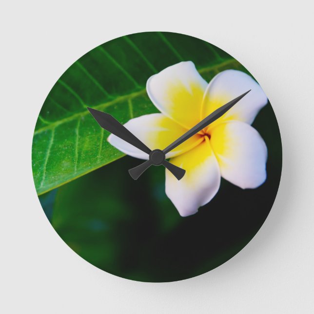 Plumeria Rund Klocka (Framsida)