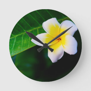Plumeria Rund Klocka