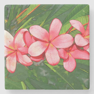 Plumeria Stenunderlägg