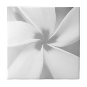 Plumeria - Svartvit makro Porträtt Kakelplatta