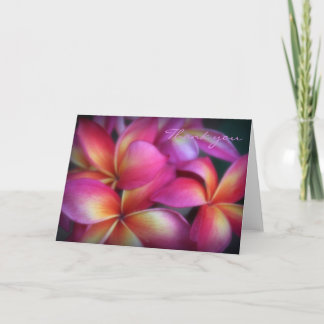 Plumeria Tackkort