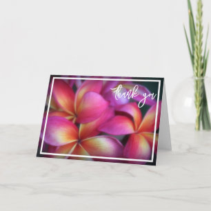 Plumeria Tacksedel Tack Kort