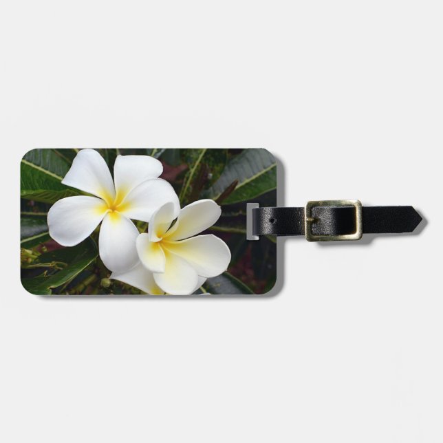 Plumeria Tropical Flowers Bagagebricka (Horisontell Framsida)