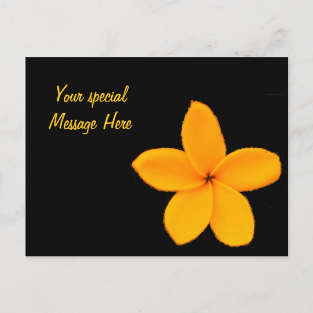 Plumeria Vykort (Framsida)