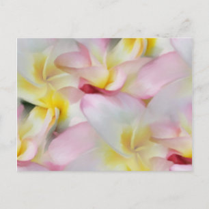 Plumeria Watercolor Postcard Vykort