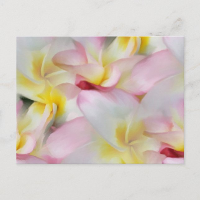 Plumeria Watercolor Postcard Vykort (Framsida)