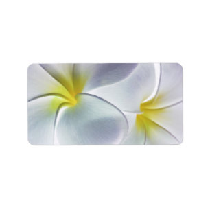 PlumeriaFrangipaniHawaii blomma skräddarsy tomt Adressetikett