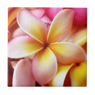 PlumeriaFrangipaniHawaii blomma skräddarsy tomt Kakelplatta