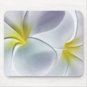 PlumeriaFrangipaniHawaii blomma skräddarsy tomt Musmatta