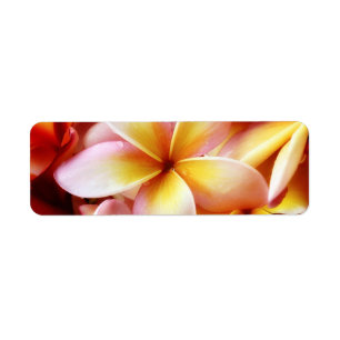 PlumeriaFrangipaniHawaii blomma skräddarsy tomt Returadress Etikett