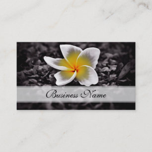 PlumeriaFrangipaniHawaii blommor Visitkort