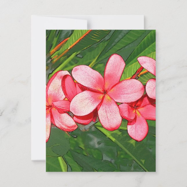 Plumerias (Framsida)