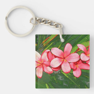 Plumerias