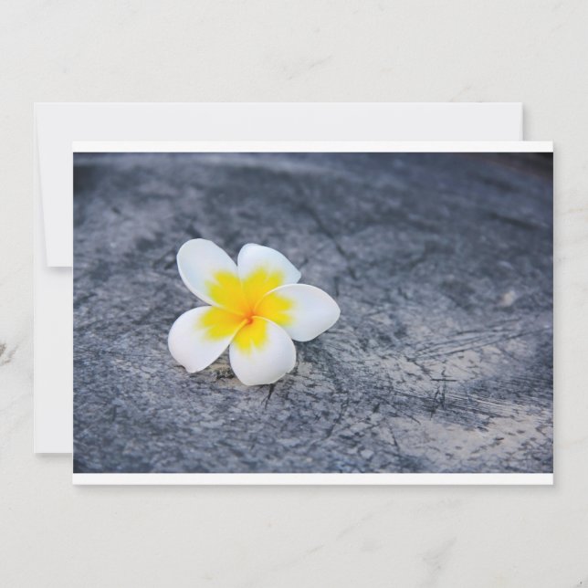 Plumerias (Framsida)