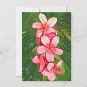 Plumerias Anteckningskort