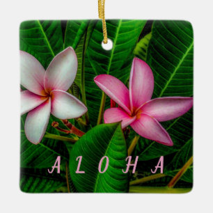Plumerias in White and Rosa Ornament