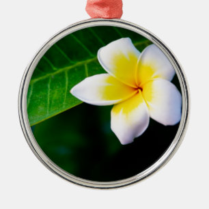 Plumerias Julgransprydnad Metall