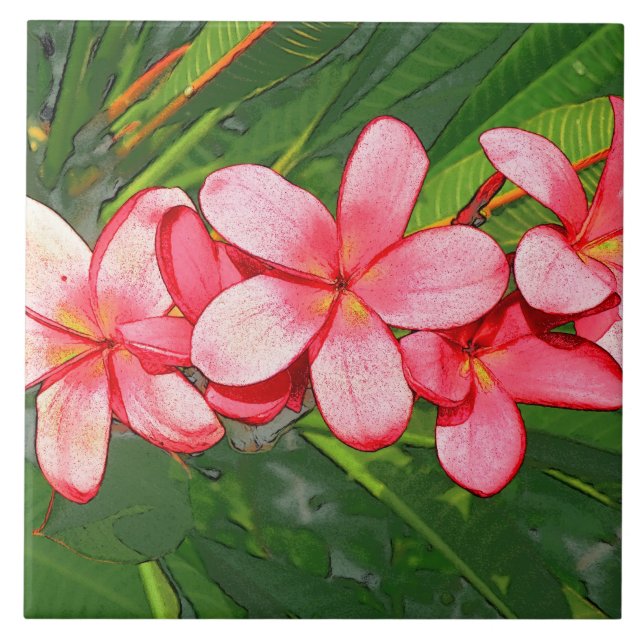 Plumerias Kakelplatta (Framsidan)