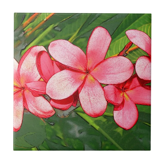 Plumerias Kakelplatta (Framsidan)