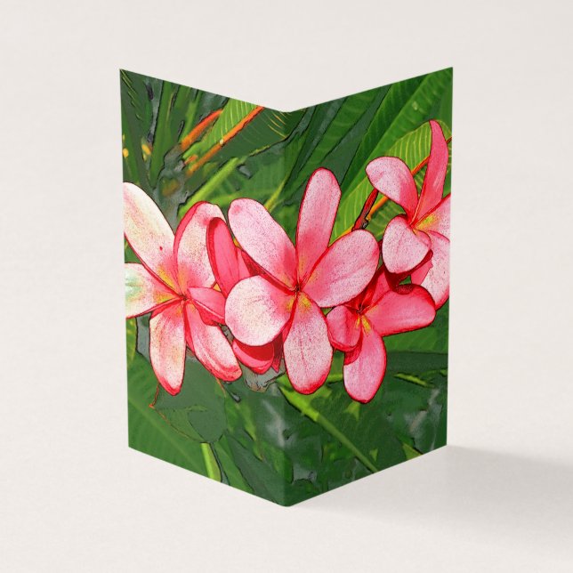 Plumerias Kort (Utsida)