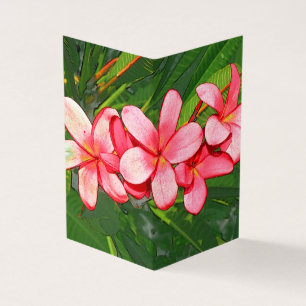 Plumerias Kort