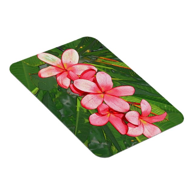 Plumerias Magnet (Högersidan)
