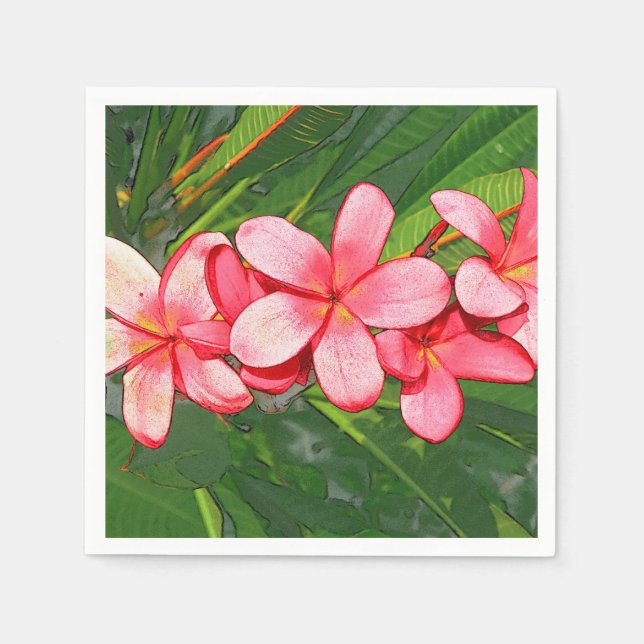 Plumerias Pappersservett (Framsidan)
