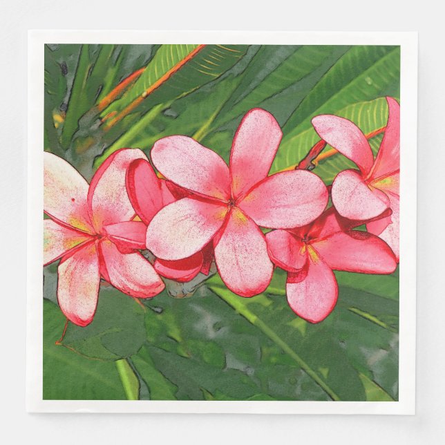 Plumerias Pappersservett (Framsida)