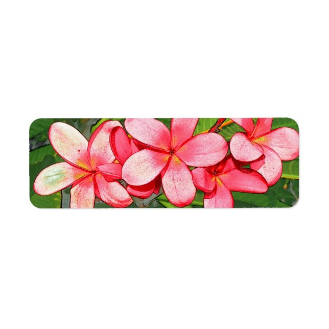 Plumerias Returadress Etikett (Framsidan)