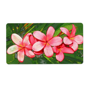 Plumerias rosa fraktsedel