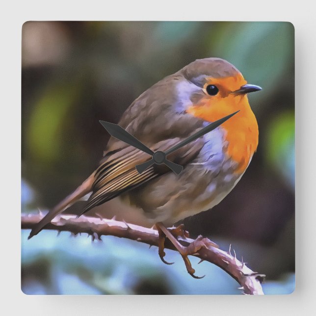 Plump Robin Perched på en Gren Wildlife Art Fyrkantig Klocka (Framsida)