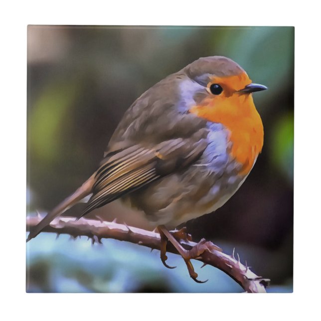 Plump Robin Perched på en Gren Wildlife Art Kakelplatta (Framsidan)