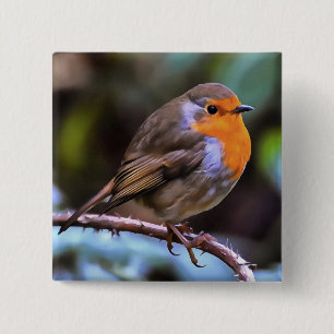 Plump Robin Perched på en Gren Wildlife Art Knapp