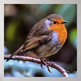 Plump Robin Perched på en Gren Wildlife Art Poster